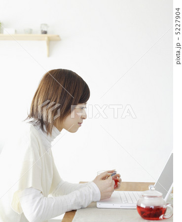 ノートパソコンの画面を見入る女性 5227904