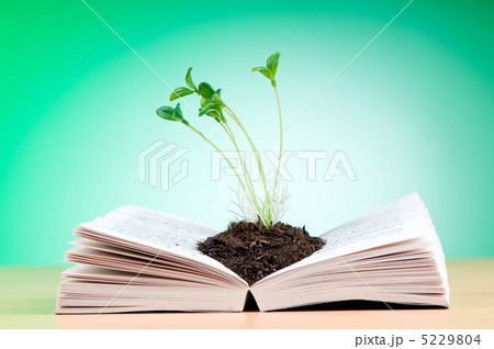 Seedlings growing from book in knowledge concept Seedlings growing from book in knowledge concept 5229804
