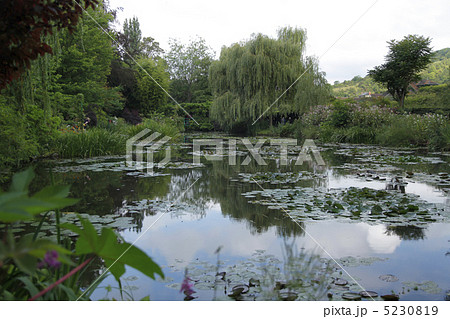 モネの庭 5230819