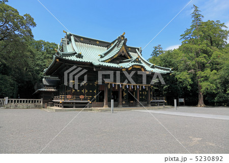 三島大社・本殿 5230892