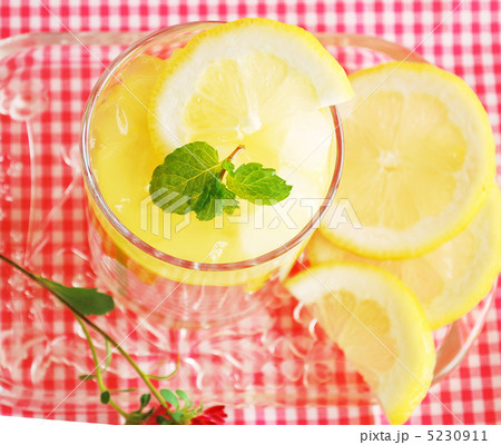 レモンとアロエのゼリー 5230911