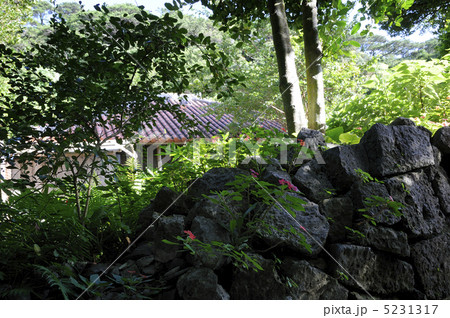 沖縄座間味島の古民家と石垣 沖縄座間味島の古民家と石垣 5231317