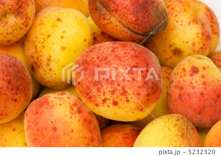 Many colourful red apricots at the backhround Many colourful red apricots at the backhround 5232320