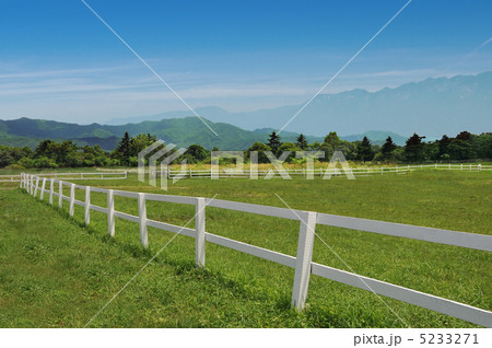 高原の牧場 5233271