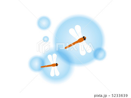 赤トンボ 赤トンボ 5233639