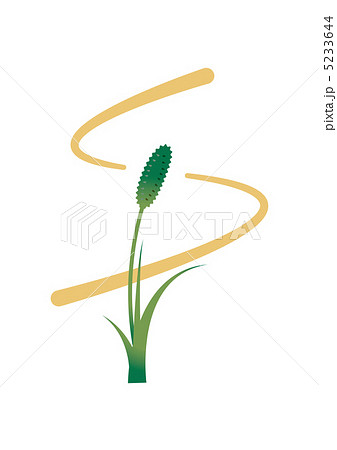 猫じゃらし 5233644