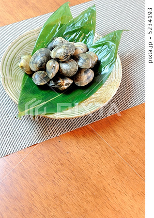 あさり 5234193