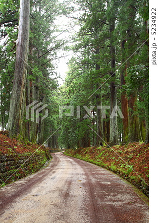 日光杉並木 5234922