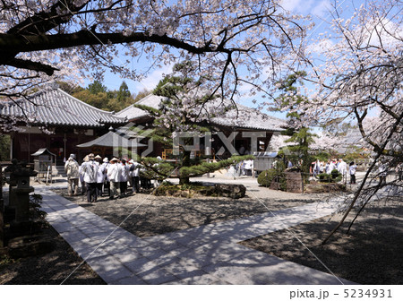 四国霊場第67番札所「大興寺（右本堂、左大師堂）」、桜とお遍路さん 5234931