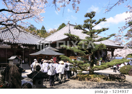 四国霊場第67番札所「大興寺（右本堂、左大師堂）」、桜とお遍路さん 5234937