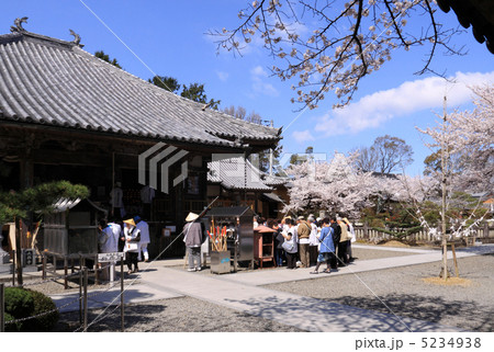 四国霊場第67番札所「大興寺（本堂）」、桜とお遍路さん 5234938