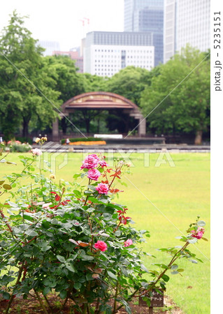 日比谷公園 5235151