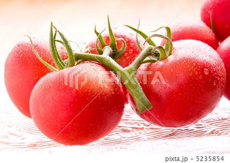 フルーツトマト 5235854