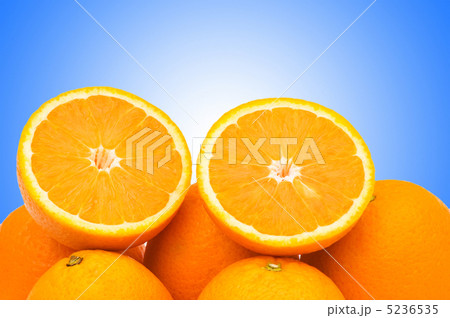 Oranges on the gradient background Oranges on the gradient background 5236535