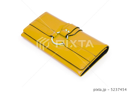 Elegant woman bag on white Elegant woman bag on white 5237454