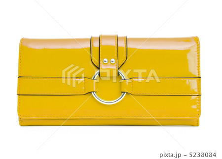 Elegant woman bag on white Elegant woman bag on white 5238084