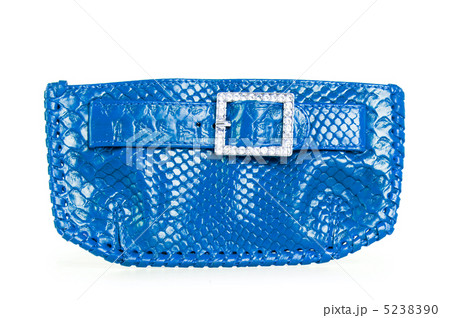 Elegant woman bag on white 5238390