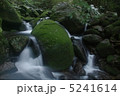 屋久島　苔生す流れ 5241614