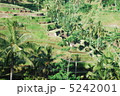 棚田 5242001