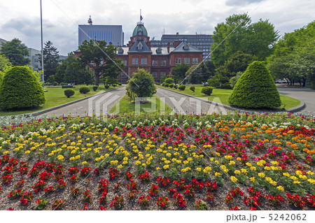 道庁旧庁舎と花壇 5242062