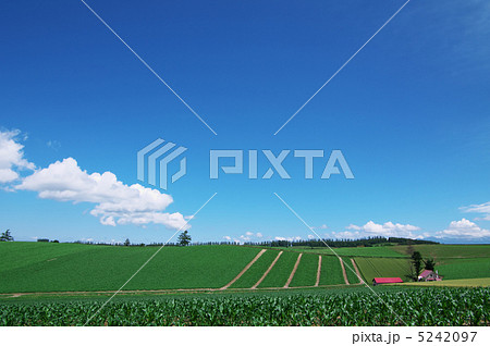 美瑛 メルヘンの丘 美瑛 メルヘンの丘 5242097