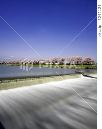 一目千本桜と蔵王(スローシャッター)縦 一目千本桜と蔵王(スローシャッター)縦 5242121