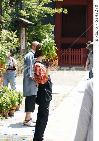 ほおずき市 5242270