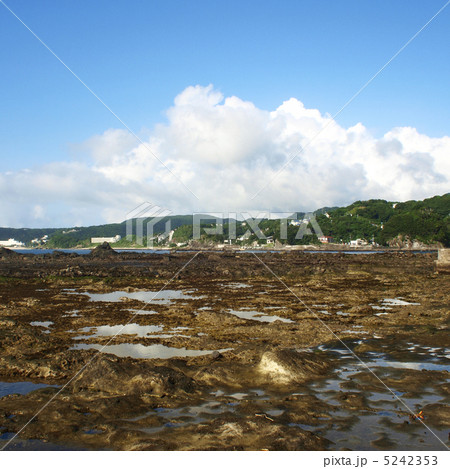 潮溜まり 5242353
