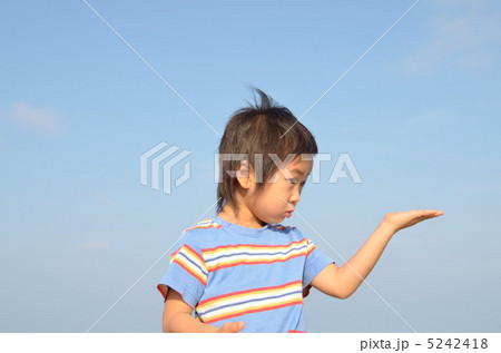 どうぞ をする男の子 どうぞ をする男の子 5242418