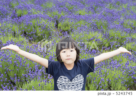 ラベンダーと女の子 ラベンダーと女の子 5243745
