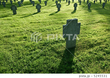 Cemetery with grass during sunset 5245531