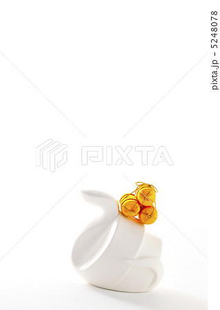 巳 5248078