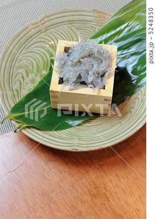 生しらす 5248350