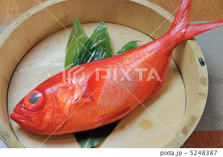 金目鯛 金目鯛 5248387