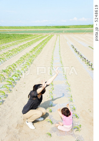 農業親子 5248619