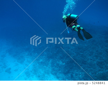 ダイバー ダイバー 5248841