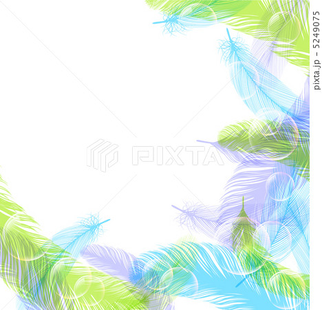 羽根 羽 背景 夏のイラスト素材