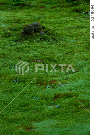 三千院のわらべ地蔵 三千院のわらべ地蔵 5249094