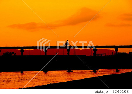 流れ橋夕景 5249108