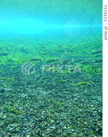 碧い風景 5249151