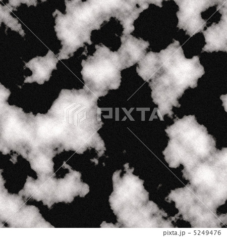 ホルスタイン☆アニマルテクスチャ  5249476