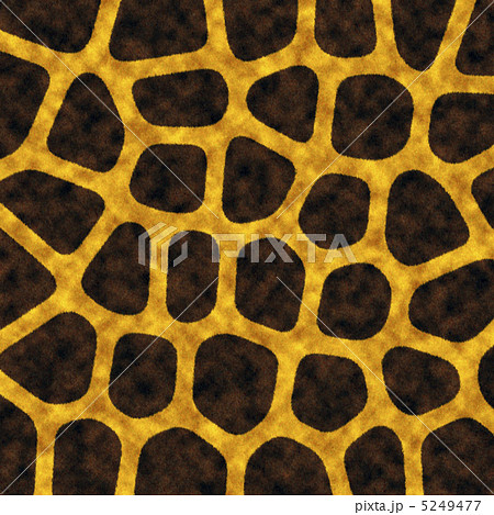 キリン☆アニマルテクスチャ 5249477