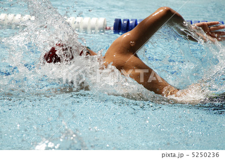 クロール クロール 5250236