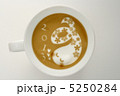 5250284