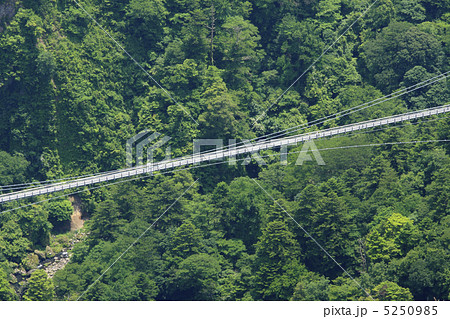 九重夢大吊橋 九重夢大吊橋 5250985