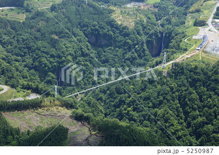 九重夢大吊橋 5250987