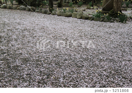 大悲願寺 大悲願寺 5251808