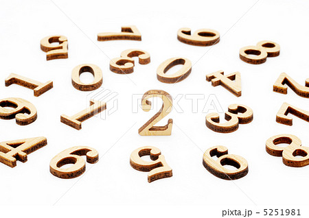 木の数字 5251981