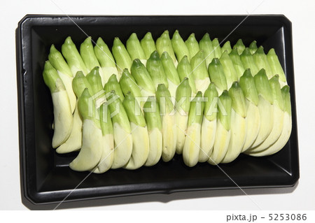 シロゴチョウ タイ食材 野菜 タイ王国 シロゴチョウ タイ食材 野菜 タイ王国 5253086