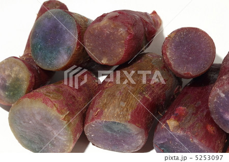 サツマイモ ムラサキイモ バンコク タイ王国 サツマイモ ムラサキイモ バンコク タイ王国 5253097